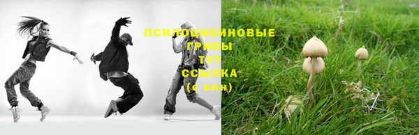 бошки Володарск