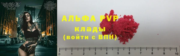 ПСИЛОЦИБИНОВЫЕ ГРИБЫ Верея